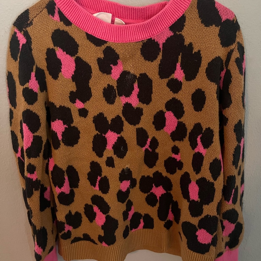 GAP Leopard Print Sweater with Pink Highlights